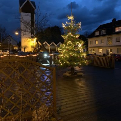 Weihnachtsbaum 1