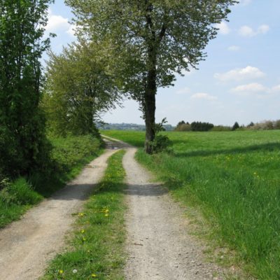 Wanderweg Vilkerath